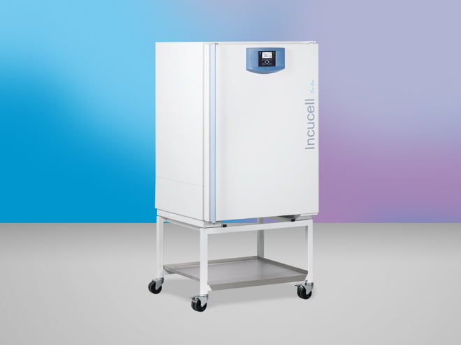INCUCELL V 222 - ECO line