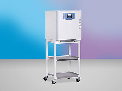 INCUCELL V 55 - ECO line