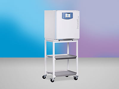 INCUCELL V 55 - EVO line